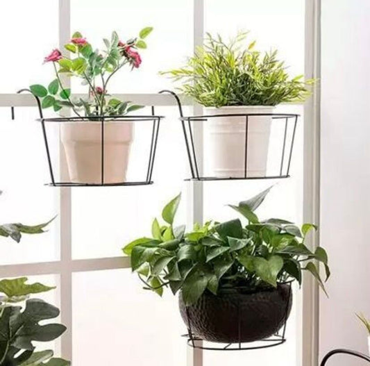 Decorative Hanging Basket Plant