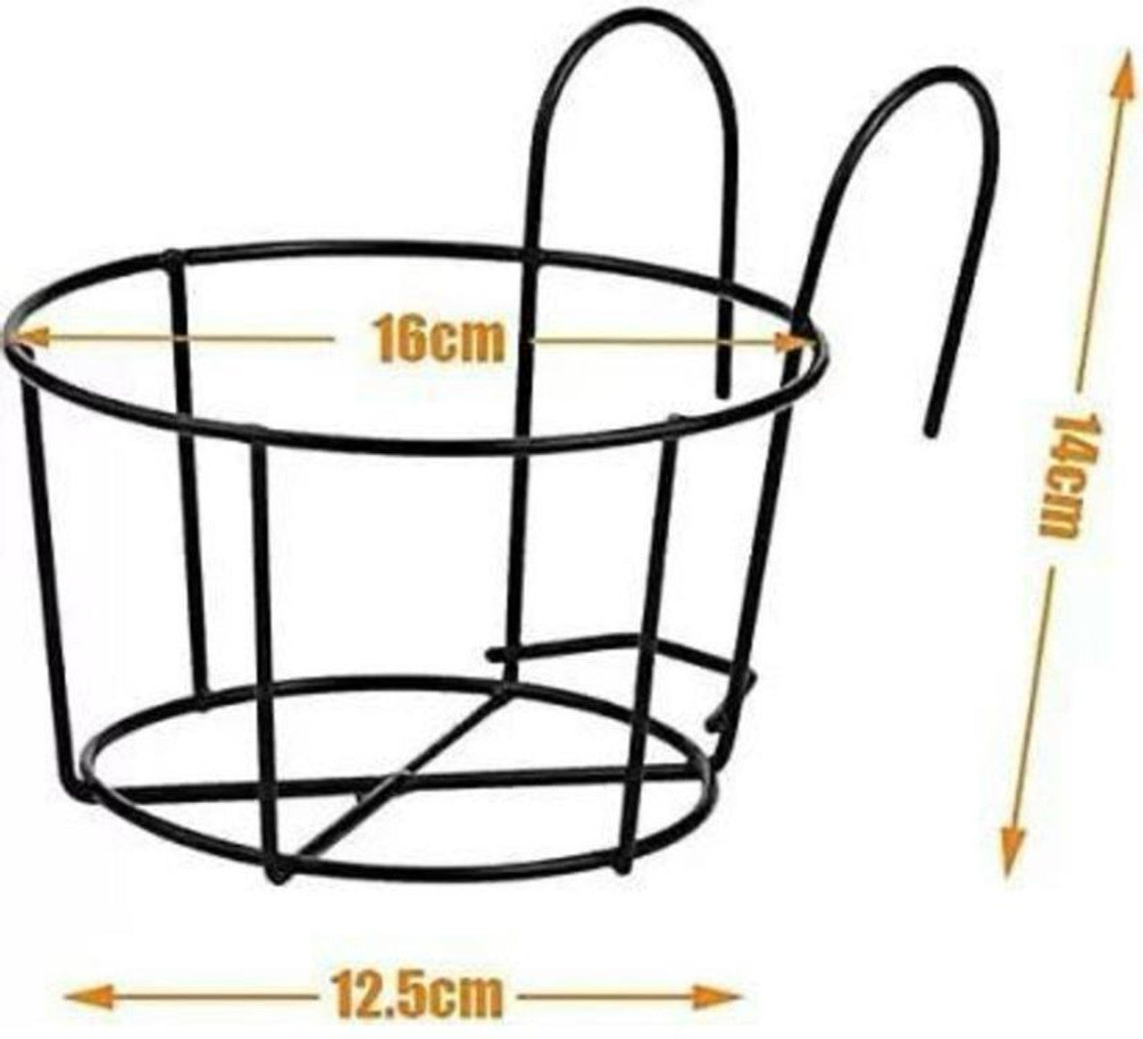 Decorative Hanging Basket Plant