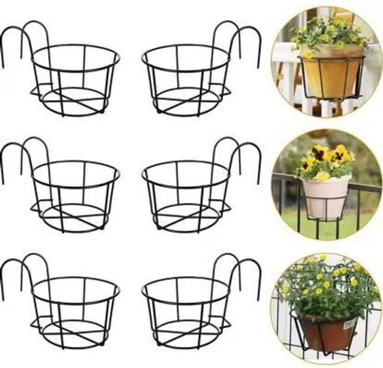 Decorative Hanging Basket Plant