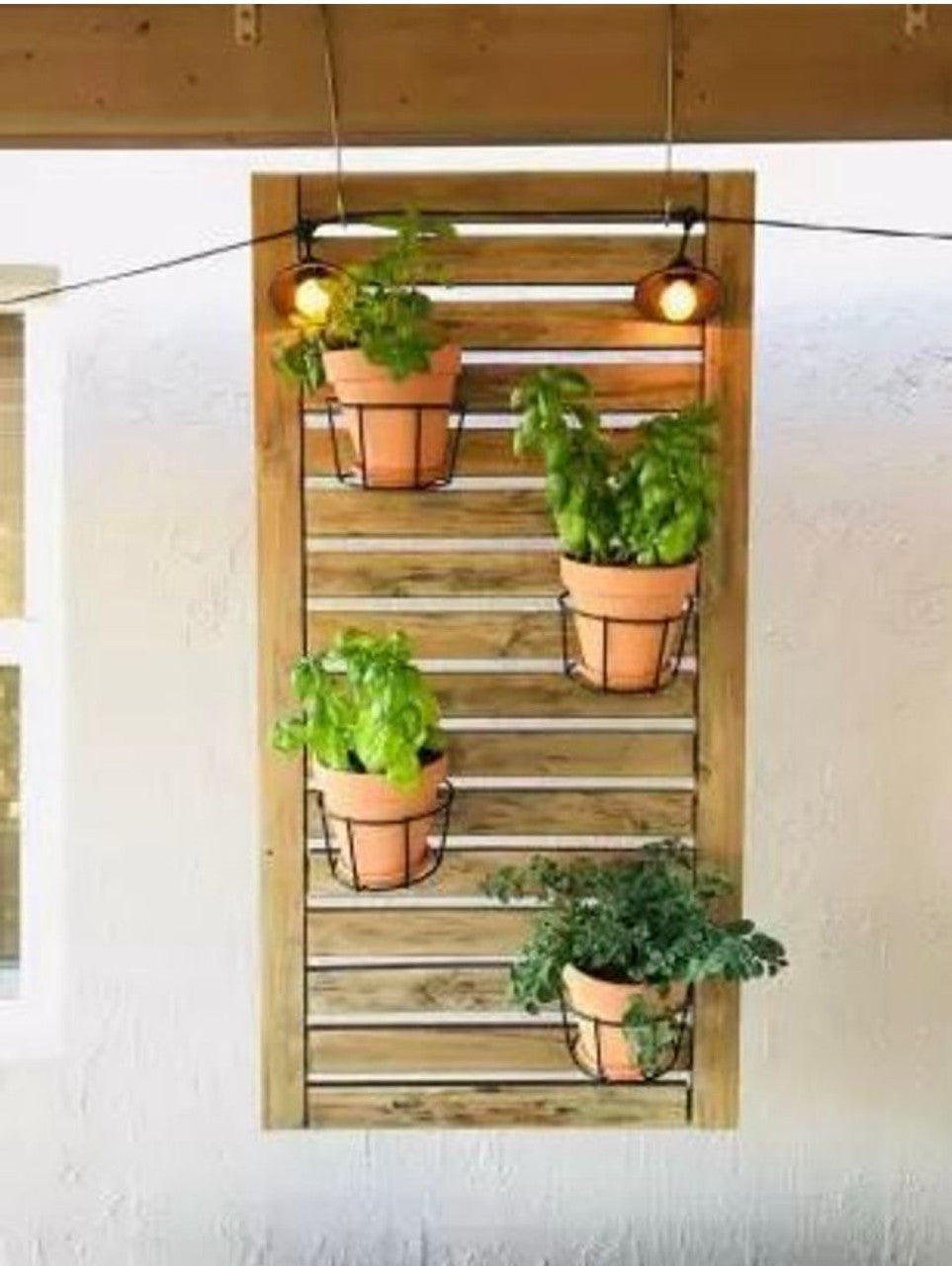 Decorative Hanging Basket Plant